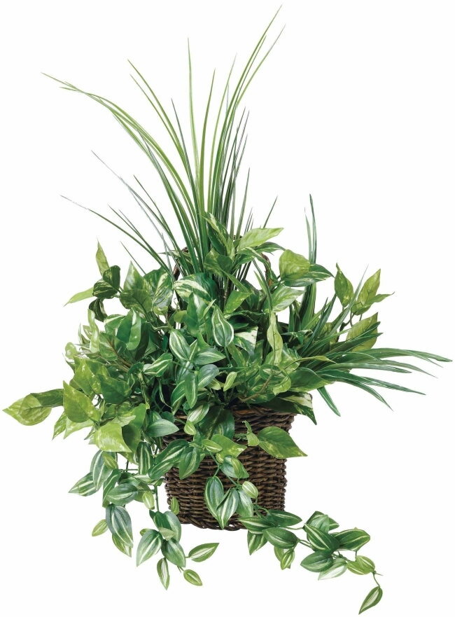 【直送品・大感謝価格 】光の楽園壁掛ナチュラルグラス【別途送料が発生する場合あり・ラッピングは有料( ...