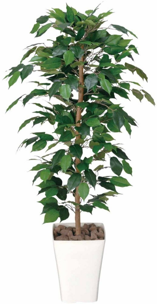 大感謝価格 光触媒 フィカスベンジャミン 1.2m 2a4608-170 直送品。代引不可・同梱不可・返品キャンセル・割引不可 新築祝い・開店祝い・誕生日などのギフトに。（画像器が変更の場合あり）【別途送料が発生する場合あり・ラッピングは有料(不可の場合あり)】