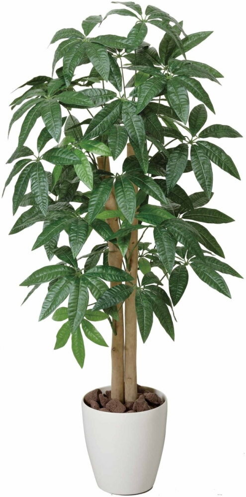 大感謝価格 光触媒 パキラ 1.0m 2a4707-150 直送品。代引不可・同梱不可・返品キャンセル・割引不可 新築祝い・開店祝い・誕生日などのギフトに。（画像器が変更の場合あり）【別途送料が発生する場合あり・ラッピングは有料(不可の場合あり)】