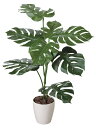 大感謝価格 光触媒 モンステラ 1.0m 2a4806-100 207A100 直送品。代引不可・同梱不可・返品キャンセル・割引不可 新築祝い・開店祝い・誕生日などのギフトに。(画像器が変更の場合あり)【別途送料が発生する場合あり・ラッピングは有料(不可の場合あり)】