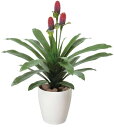大感謝価格 光触媒 マガベ花付 2a4906-100 直送品。代引不可・同梱不可・返品キャンセル・割引不可 新築祝い・開店祝い・誕生日などのギフトに。(画像器が...