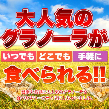 【2個セットで1kg】【大感謝価格 】5種の穀物と2種の果物入り!おやつでサポート!!小腹にミニグラノーラ 500g×2個セットで1kg