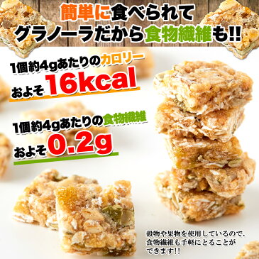 【2個セットで1kg】【大感謝価格 】5種の穀物と2種の果物入り!おやつでサポート!!小腹にミニグラノーラ 500g×2個セットで1kg