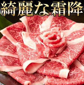 【直送品・大感謝価格】一度は食べたい絶品霜降ブランド牛九州産黒毛和牛A4・A5等級 無選別 切り落とし500g A冷凍 【1000。】【返品キャンセル不可】 肉 美味い 九州産 黒毛和牛 切り落とし 代引不可 同梱不可 返品キャンセル不可 割引不可