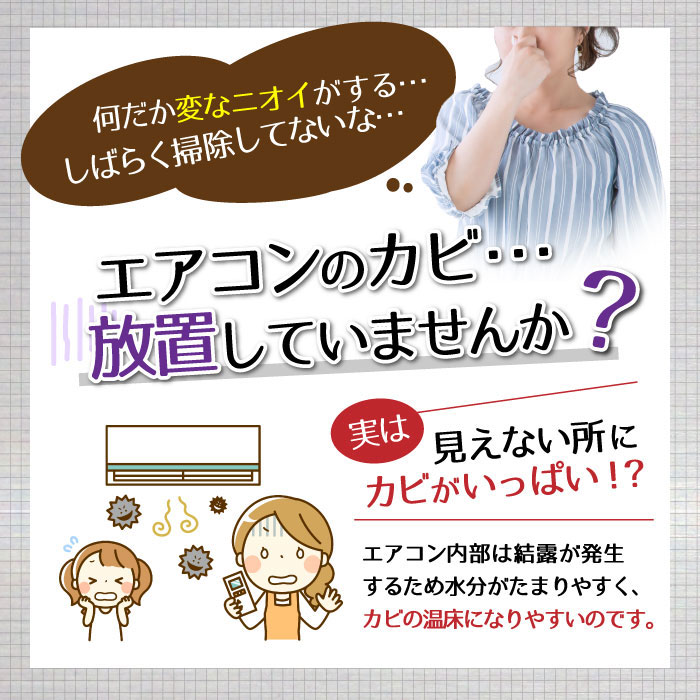 【5個購入で1個多くおまけ】【大感謝価格 】エ...の紹介画像3