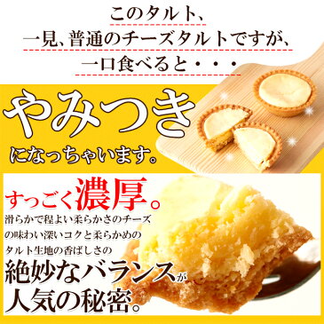 【メーカー直送】【大感謝価格 】【ゆうメール出荷】こだわりの美味しさ【訳あり】濃厚チーズタルト5コ