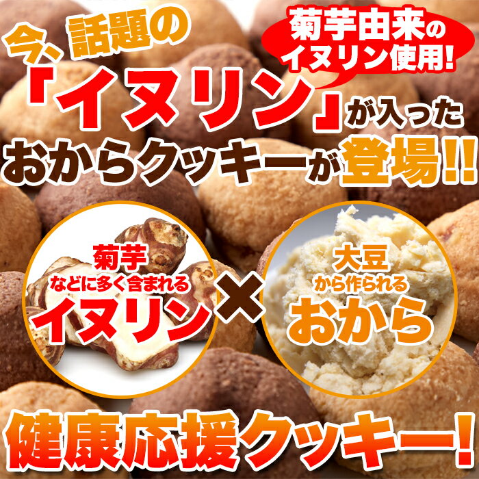 しっとりソフトな食感!!イヌリン入りソフト豆乳おからクッキー 500g(チョコ・オレンジ) 【楽天大感謝価格】お菓子 おやつ 豆乳クッキー 大豆クッキー ソフトクッキー 菊芋由来のイヌリン入り 糖質制限