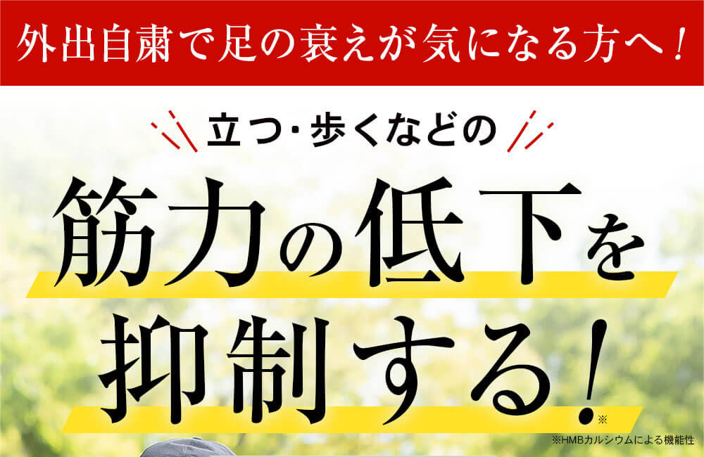 【5個購入で1個多くおまけ】【メール便】【機能性表示食品】歩みエール 248粒【楽天倉庫直送h】 健康食品 サプリメント カルシウム 筋力維持 体力維持 3