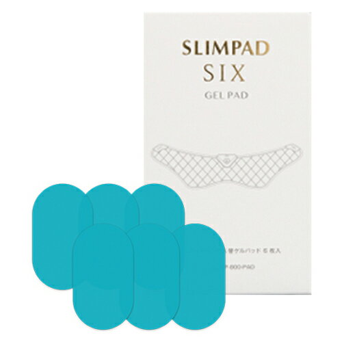 【2個セット】SLIMPAD SIX スリムパッ