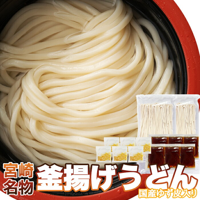 うどん 宮崎【ゆうメール】【直送品】もちもちの麺をゆ...