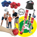 【楽天倉庫365日出荷　直送品】【あす楽対応】【2個セット】ボッチャセットx2セット入り【ヘルシ価格】 パラリンピック正式種目 ゲーム レクリエーション 頭脳戦ゲーム シニア 高齢者