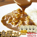 【直送品】【ゆうメール】20種類以上のスパイス使用!美味しいレトルト食研カレー4食(200g×4袋)【ヘルシ価格】 レトルトカレー 中辛 本格的 スパイス 夕飯 時短 長期保存