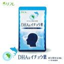 【メール便】【楽天倉庫直送h】リフレ DHA＆イチョウ葉 93粒 健康食品 サプリメント DHA EPA 精製魚油 イチョウ葉エキス