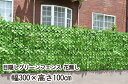 目隠しグリーンフェンス 花無し 幅300×高さ100cm K14351【楽天倉庫直送】視線から隠したい エクステリア ガーデニング シェード イミテーション 緑...