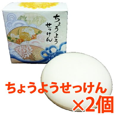 yyΉz傤悤 100g~2ysiz΂ Ό  RX  A