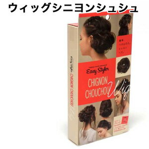 【大感謝価格 】イージースタイラー ミニスタイルBOOK付き 1個