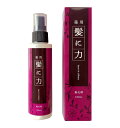 【5個購入で1個多くおまけ】【医薬部外品】髪に力 120mL【ヘルシ価格】髪に力 育毛 かゆみ ふけ 育毛 脱毛予防 ヘアケア