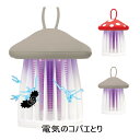 東京企画販売 電気のコバエとり レッド/グレー【楽天倉庫直送h】電気のコバエとり 電撃で USBライトで引き寄せ
