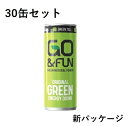 【楽天倉庫365日出荷 直送品】【即納】【30個セット】GO&FUN GREEN ENERGY DRINK ゴーアンドファン グリーンエナジードリンク 250mL x 30【ヘルシ価格】微炭酸飲料 ガラナ マテ茶 緑茶 高麗人参 健康飲料