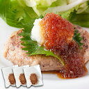 送料無料【直送品】【ゆうメール】100%植物由来の新感覚ハンバーグ!!マンナン大豆ミートハンバーグ 90g×3袋【ヘルシ価格】 大豆ハンバーグ 大豆ミート こん...