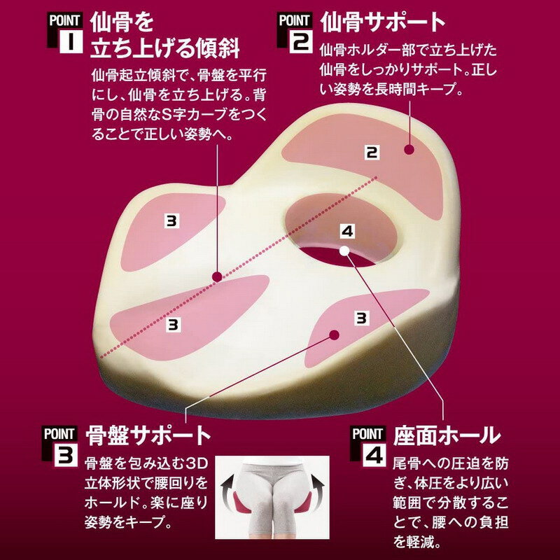 【物流倉庫出荷品】【大感謝価格 】仙骨クッション 仙律 ルビー