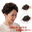 『はじめて 手のひらサイズのヘアピース ライトブラウン/ダークブラウン』ヘアピース ワンタッチ 簡単装着 髪 分け目 部分かつら 商品紹介 気になる分け目をボリュームアップさせるヘアピース。 ドライヤー・ヘアアイロン・整髪料・シャンプー＆リンスも使用可能！ ボリュームがほしい所にワンタッチで簡単装着。3箇所のクリップでしっかり固定。 軽くて着け心地も快適♪ 髪の流れを自由自在に変えられるから、なじんだヘアスタイルに。 サイズ・重量 サイズ：(約)ベースサイズ：10×7cm、毛の長さ：10cm重量：(約)20g〜※商品によっては若干の誤差があります。 商品説明 商品名 はじめて!手のひらサイズのヘアピース材質 毛：PET、クリップ：スチール(粉体塗装)、ベース：ポリエステル、保管用ネット：ナイロン生産国 中国 広告文責 (有)パルス　048-551-7965 『通常5-12営業日前後に出荷の予定ですが 欠品やメーカー終了の可能性もあり、その場合は 別途メールにてご連絡いたします』『はじめて 手のひらサイズのヘアピース ライトブラウン/ダークブラウン』ヘアピース ワンタッチ 簡単装着 髪 分け目 部分かつら