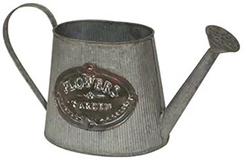 【楽天倉庫直送品】【ヘルシ価格】東洋石創 ジョーロ 86494