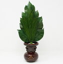 【ヘルシ価格 】プレミアム プリザーブド荒神松 K13227