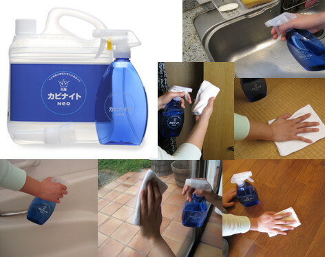 【ヘルシ価格 】乳酸カビ取剤 カビナイト Neo 4L セット K10734