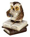 【楽天倉庫直送品】東洋石創 オウル・読書ルーペ KLXC-0008【ヘルシ価格】 インテリア 小物 置物 オブジェ 可愛い