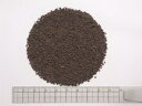ブルンジCTC BP1 1000g【割引不可、返品キャンセル不可品】(4)