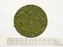 深蒸し煎茶 上級 1000g【割引不可、返品キャンセル不可品】
