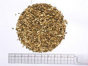 タラ葉茶 1000g【割引不可、返品キャンセル不可品】