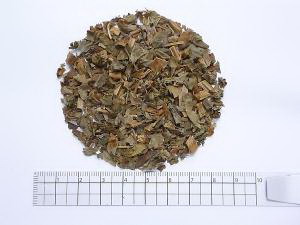 仙鶴草の茶 1000g【割引不可、返品キャンセル不可品】のサムネイル