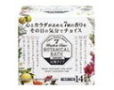 【24個セット】バーデンタイム ボタニカルバス 14錠 N-8810x24個セット【直送品】【ヘルシ価格】 バス用品 入浴剤 炭酸タイプ 植物エキス配合 タブレット型