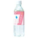 【24個セット】7年保存水 500mlx24個セット【注文から1か月~2か月程度で出荷】【楽天倉庫直送】【同梱不可お一人様1個まで】【割引不可品】【返品キャンセル不可品】 防災グッズ 保存水 長期保存 7年保存水