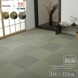 【直送品】敷物 花ござ 国産 日本製 小林製薬 持続性抗菌剤 KOBA-GUARD 抗菌防臭 グリーン 江戸間8畳 約348×352cm【割引不可品】 敷物 ラグマット 絨毯 フロアマット い草 調湿 抗菌 防臭 日本製