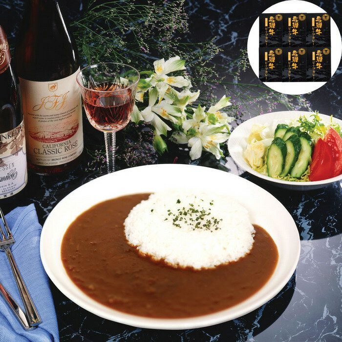 【直送】【北海道沖縄離島不可】岐阜 飛騨牛カレー【ヘルシ価格】 食品 惣菜 カレー 飛騨牛 ビーフカレー レトルトカレー