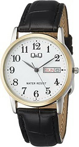 ڳŷҸľhۥ CITIZEN Q&Q å ࡼֻ A206-504