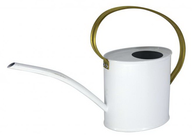 【楽天倉庫直送品】東洋石創 ジョウロ ホワイト 81615【ヘルシ価格】 ガーデン用品 ジョーロ 鉄製 水差し