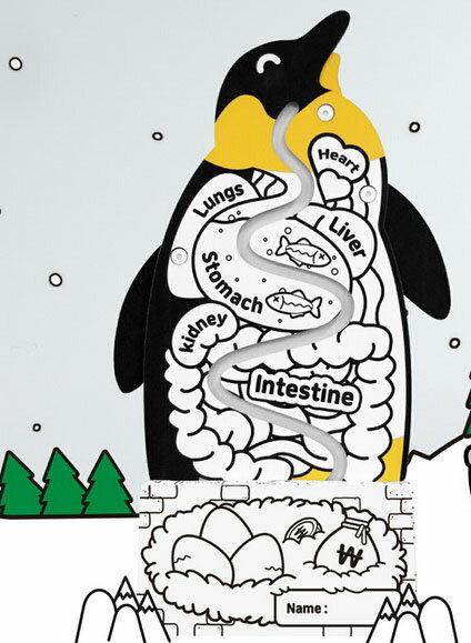 【直送品】ANBOX（アンボックス） ぺんぎん貯金箱 Penguin coin box bxp03【北海道沖縄離島不可】インテリア 小物 置物 貯金箱 コインボックス