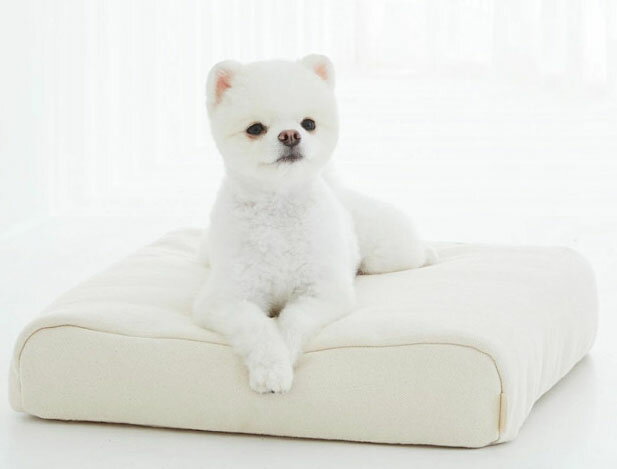 【直送品】mooayou（ムーアユー） ペットベッド M ヘリンボーンベッド Mサイズ アイボリー moo02-ivory【北海道沖縄離島不可】ペットグッズ 犬 猫 3Dスプリング マットレス 寝具 ベッド 通気性 丸洗い 速乾