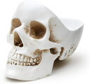 SUCK UK サックユーケー スカル スタッフ タイディ ホワイト 小物入れ Skull Stuff Tidy White【楽天倉庫直送】 トレイ トレー 小物入れ 鍵置き 収納 メガネスタンド ヘッドホンスタンド