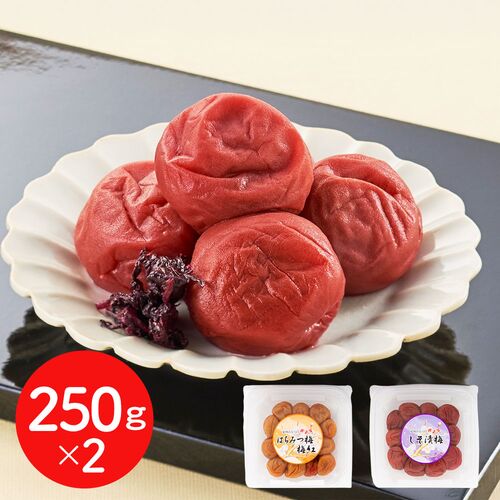 【直送品】紀州みなべの南高梅 2種セット 各250g 梅干し うめぼし