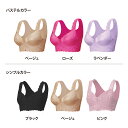 エアーフィット前開きレースブラ3色組 シンプルカラー 3L-4L【楽天倉庫直送h】 インナー レディース ブラジャー レース仕様 柔らかい ノンワイヤー