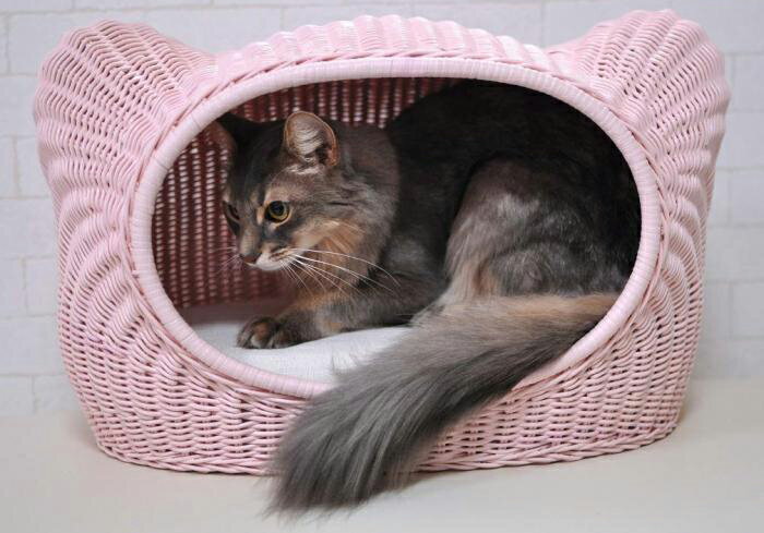 大感謝価格 ラタンキティハウス ピンク Sc 17p キャットハウス かわいい お洒落 猫 ねこグッズ ペット 猫小屋 ねこ小屋 ラタンキティハウス ピンク Sc 17p ヘルシー救急box 大感謝価格 ラタンキティハウス ピンク Sc 17p キャットハウス かわいい お洒落 猫 ねこグッズ ペット 猫小屋 ねこ小屋 ラタンキティハウス ピンク Sc 17p ヘルシー救急box