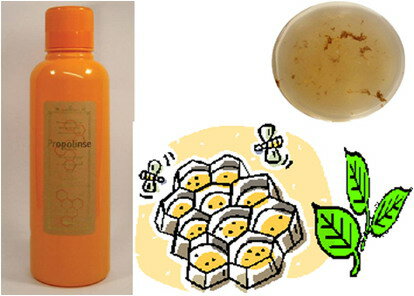 【楽天倉庫直送h】プロポリス入りマウスウォッシュ プロポリンス 600ml
