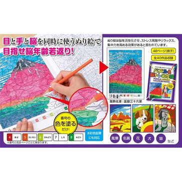 【大感謝価格 】パズル&脳トレぬり絵 48ページ(冊子) 塗り絵40作品入り