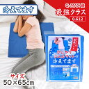 【即納】ひんやりジェルマット 冷えてます 50×65cm 1枚入【楽天倉庫365日出荷 直送】健康グッズ 冷却グッズ 暑さ対策用品 ジェルマット 電源不要 防水 耐久性 ひんやり 快適