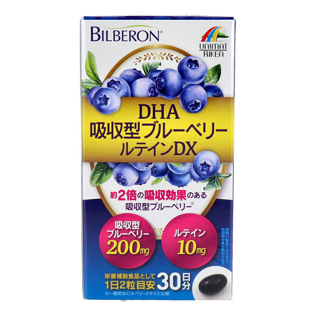 DHA吸収型ブルーベリールテインDX 60粒【ヘルシ価格】【楽天倉庫直送h】 健康食品 サプリメント ブルーベリー ルテイン DHA配合 栄養補助食品